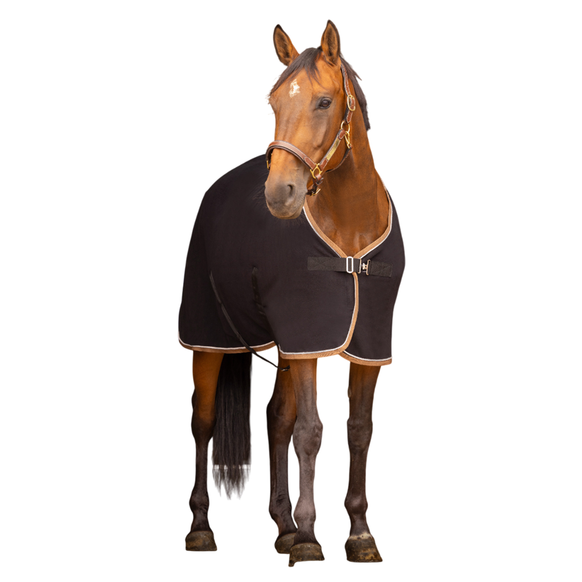 Попона флисовая EQUITHÈME для лошади Попона флисовая EQUITHÈME для лошади