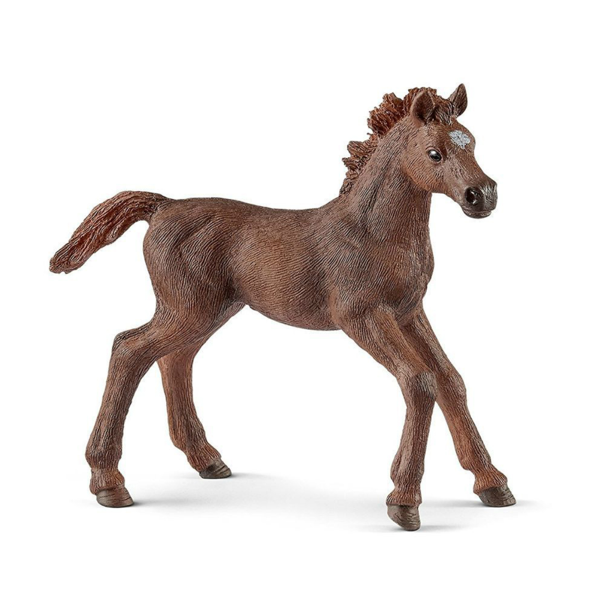 Английский чистокровный верховой жеребенок