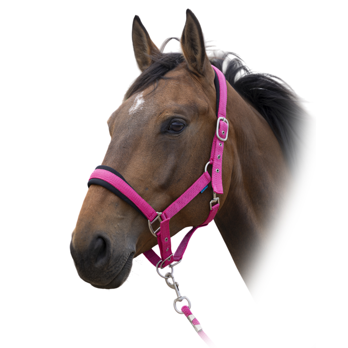 Комплект (недоуздок+чумбур) NORTON Комплект (недоуздок+чумбур) NORTON