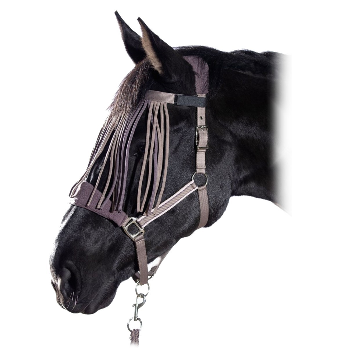 Комплект (недоуздок+чумбур+налобник от насекомых) Комплект (недоуздок+чумбур+налобник от насекомых)