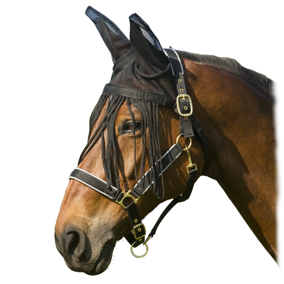 Налобник от насекомых с ушками Налобник от насекомых с ушками