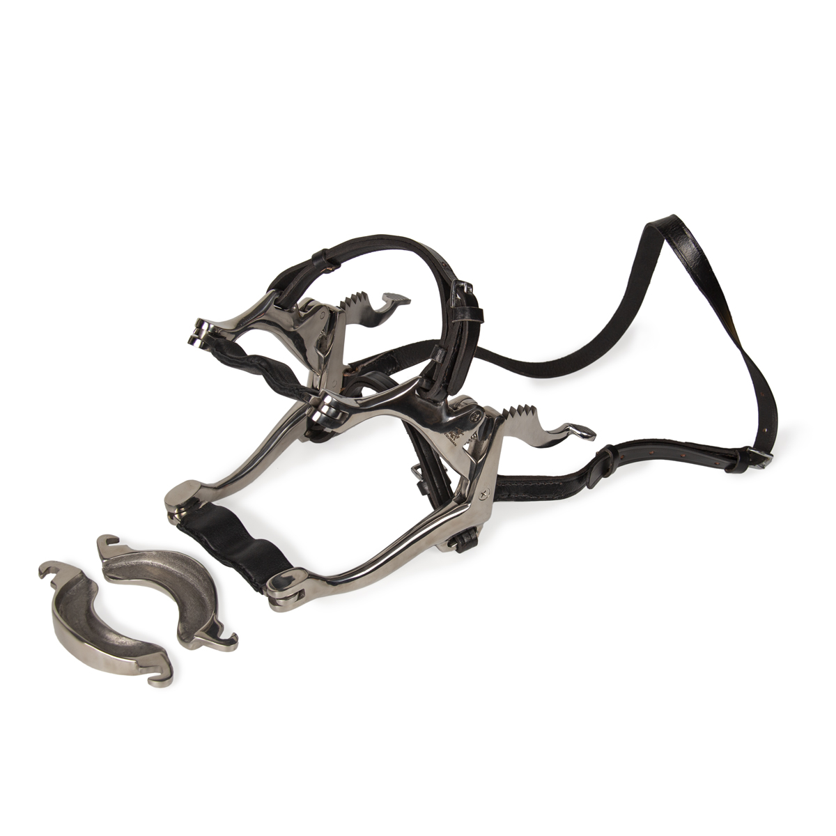 Зевник Зевник