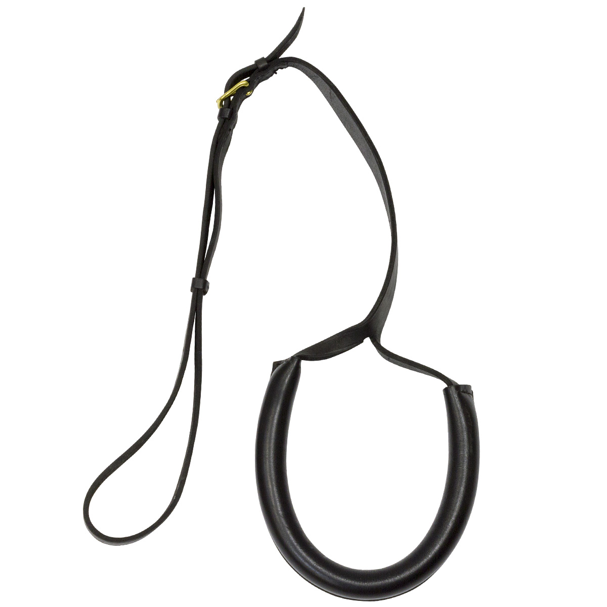 Подхвостник рысачий Подхвостник рысачий