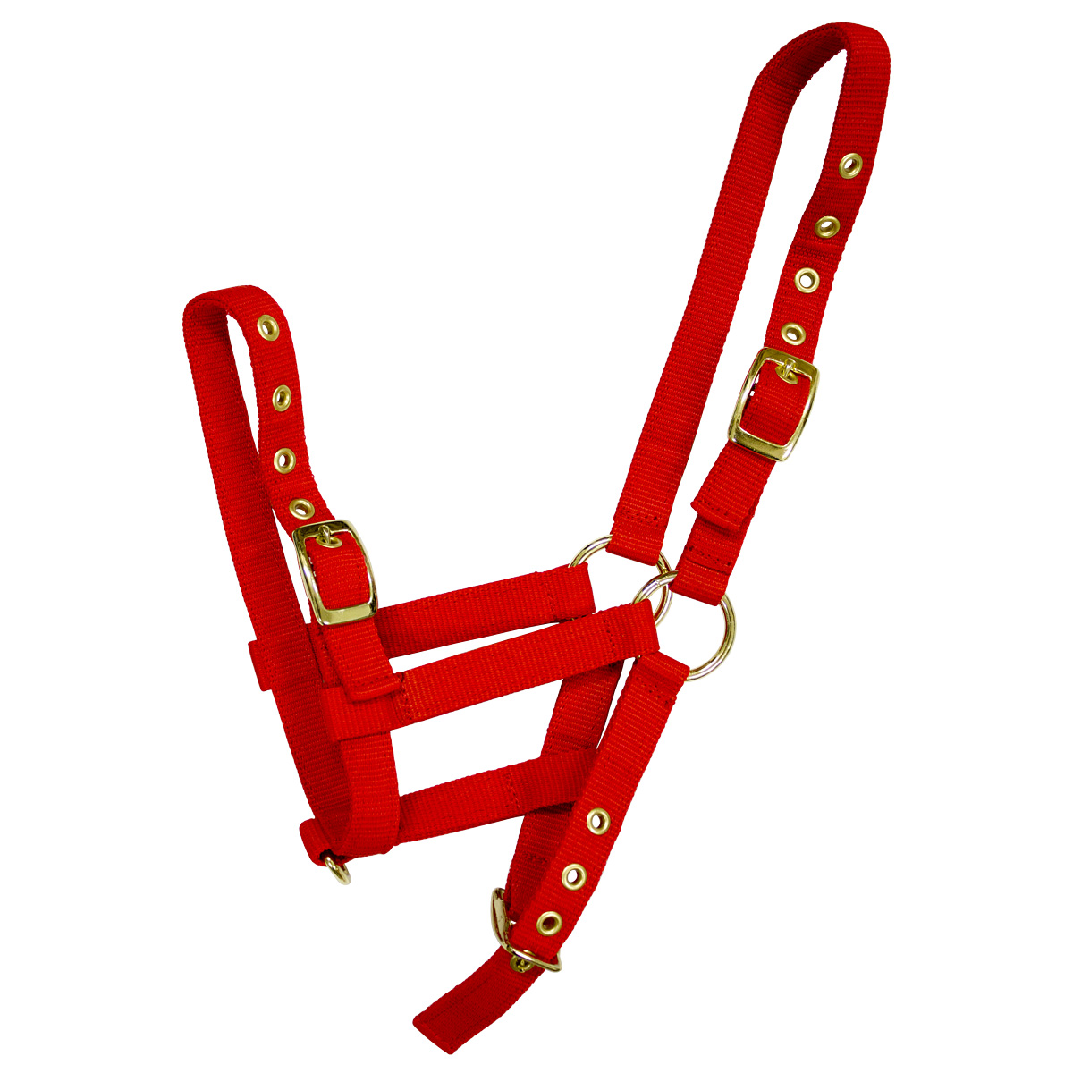 Недоуздок нейлоновый для жеребенка Недоуздок нейлоновый для жеребенка