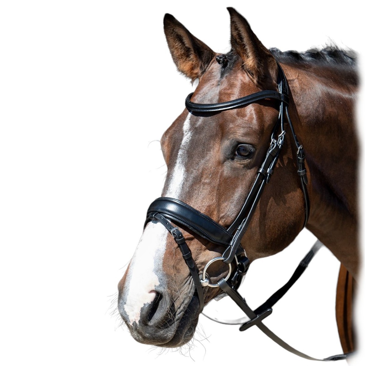 Оголовье трензельное "Foramen Free" Оголовье трензельное "Foramen Free"