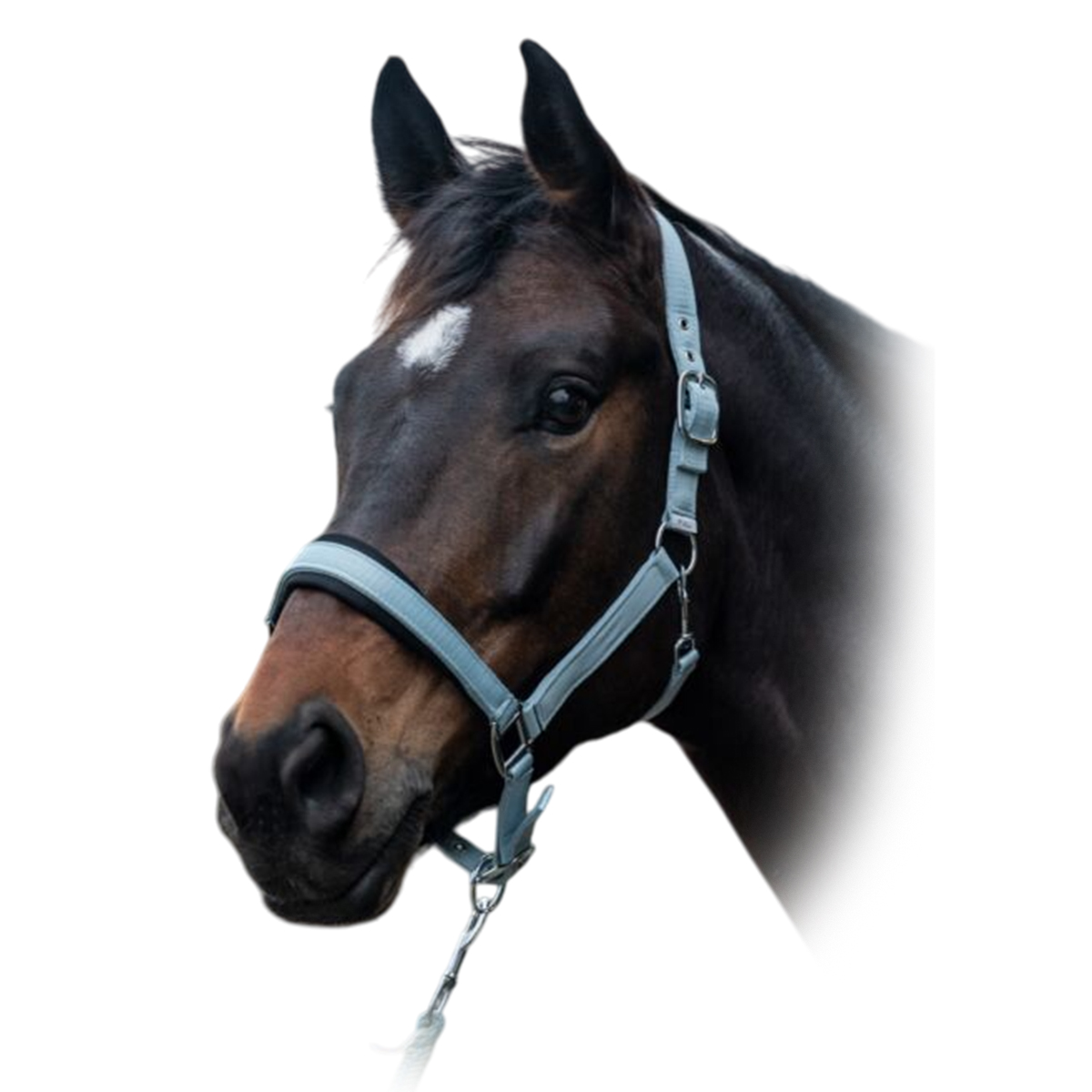 Недоуздок HKM с подложкой "Catherine"