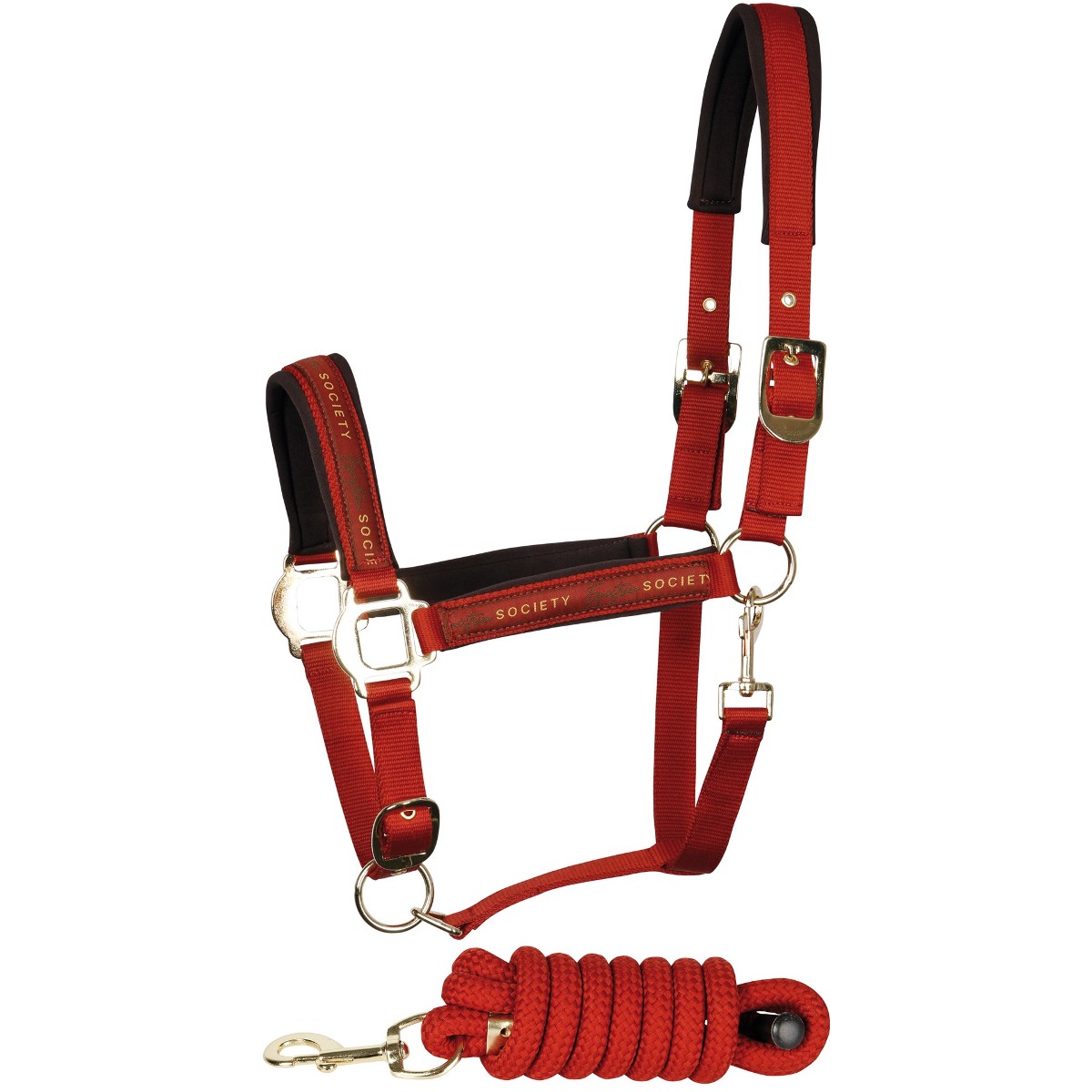 Комплект (недоуздок+чумбур) HH Equestrian Society