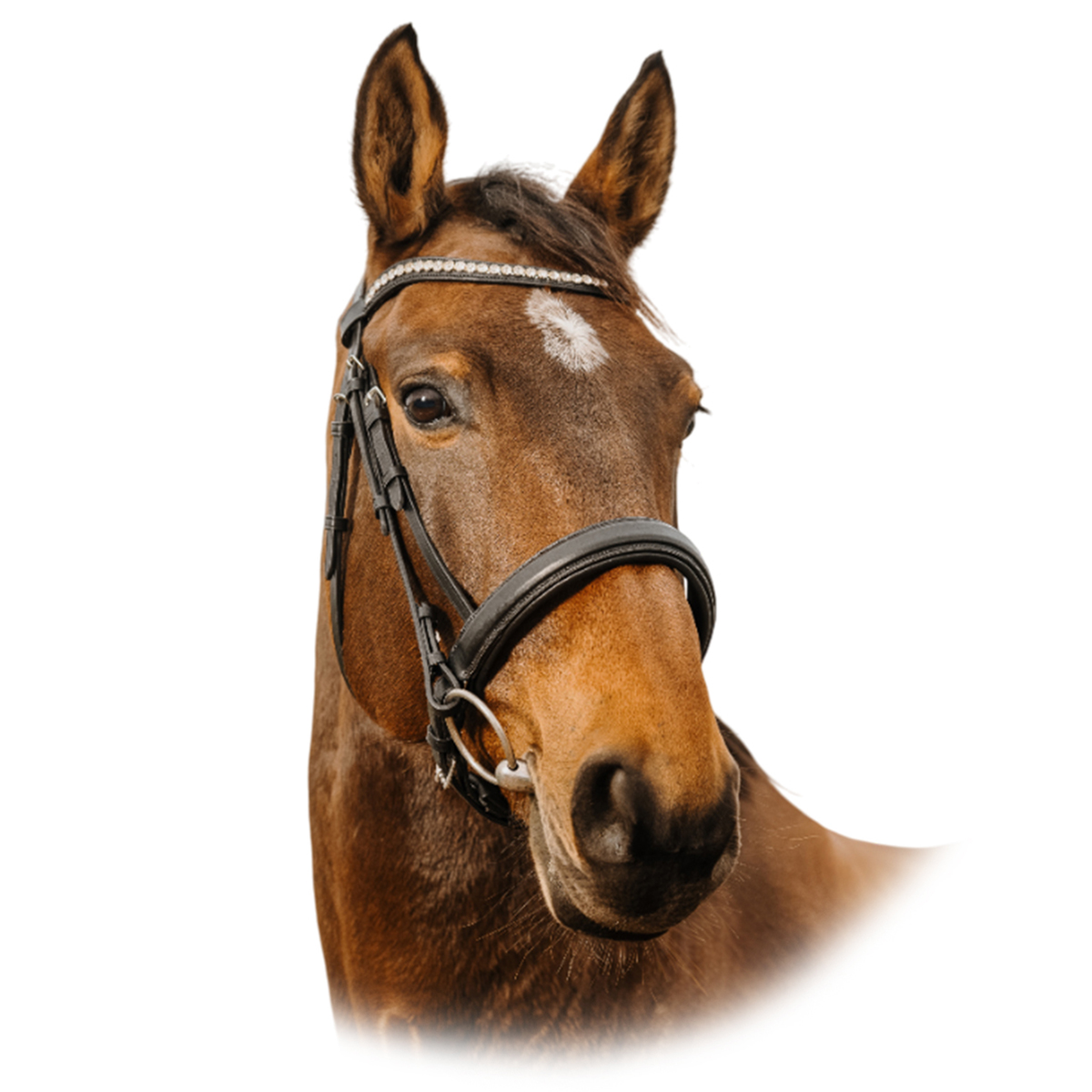 Оголовье трензельное Diva