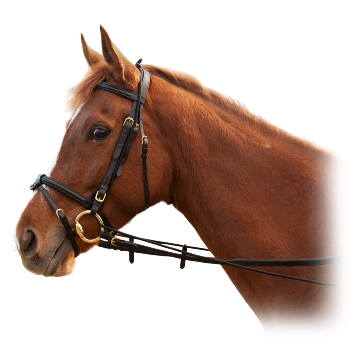 Гог резиновый "NORTON " Гог резиновый "NORTON "