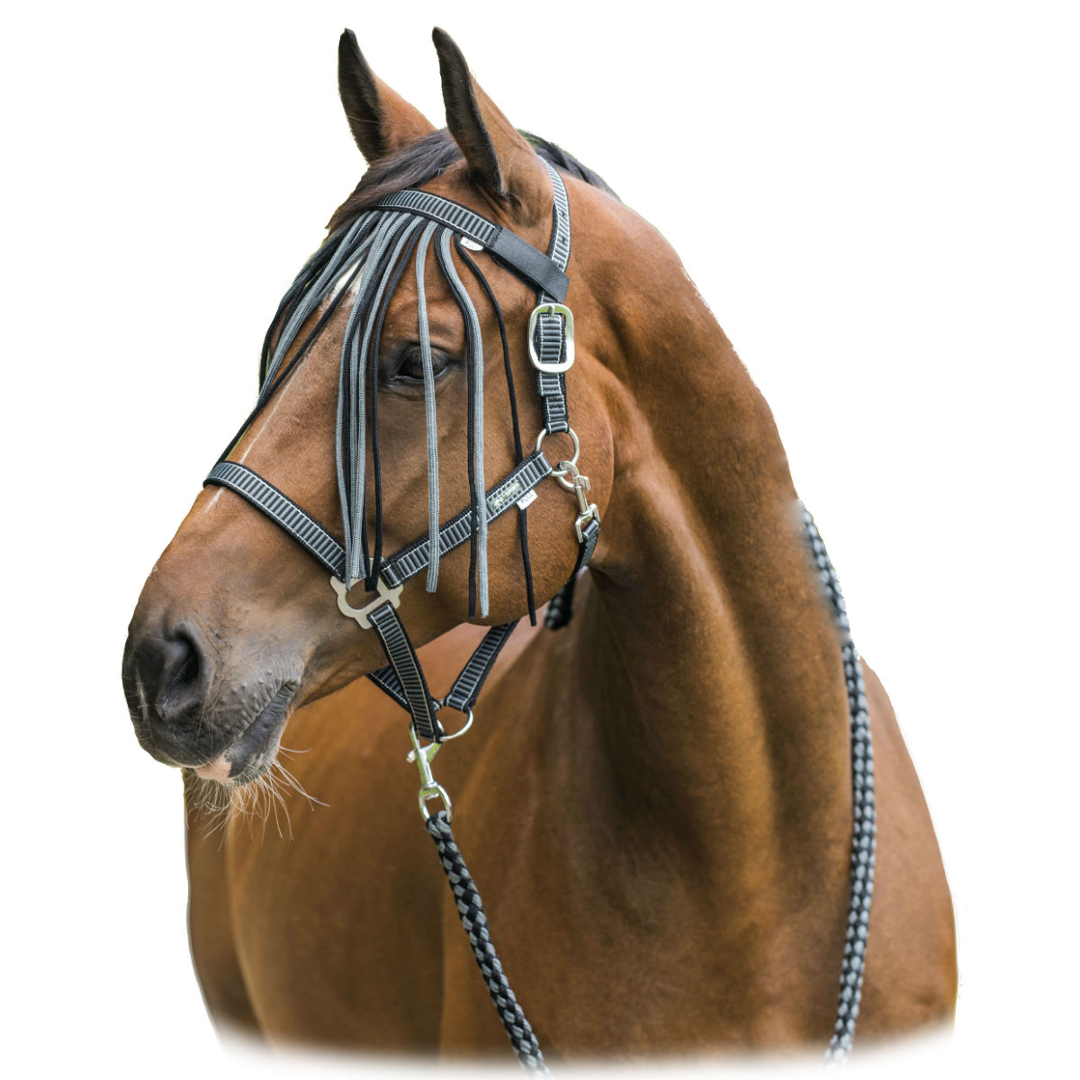 Комплект (недоуздок+чумбур+налобник от насекомых) Horze Dominic Комплект (недоуздок+чумбур+налобник от насекомых) Horze Dominic