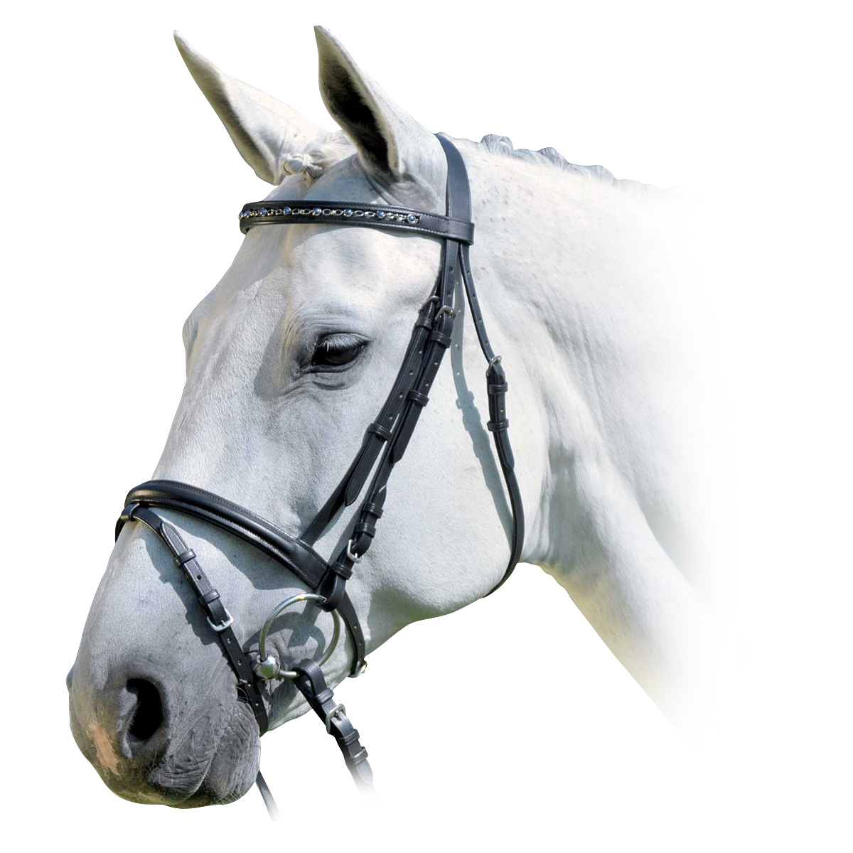 Оголовье трензельное Blue Perls Оголовье трензельное Blue Perls