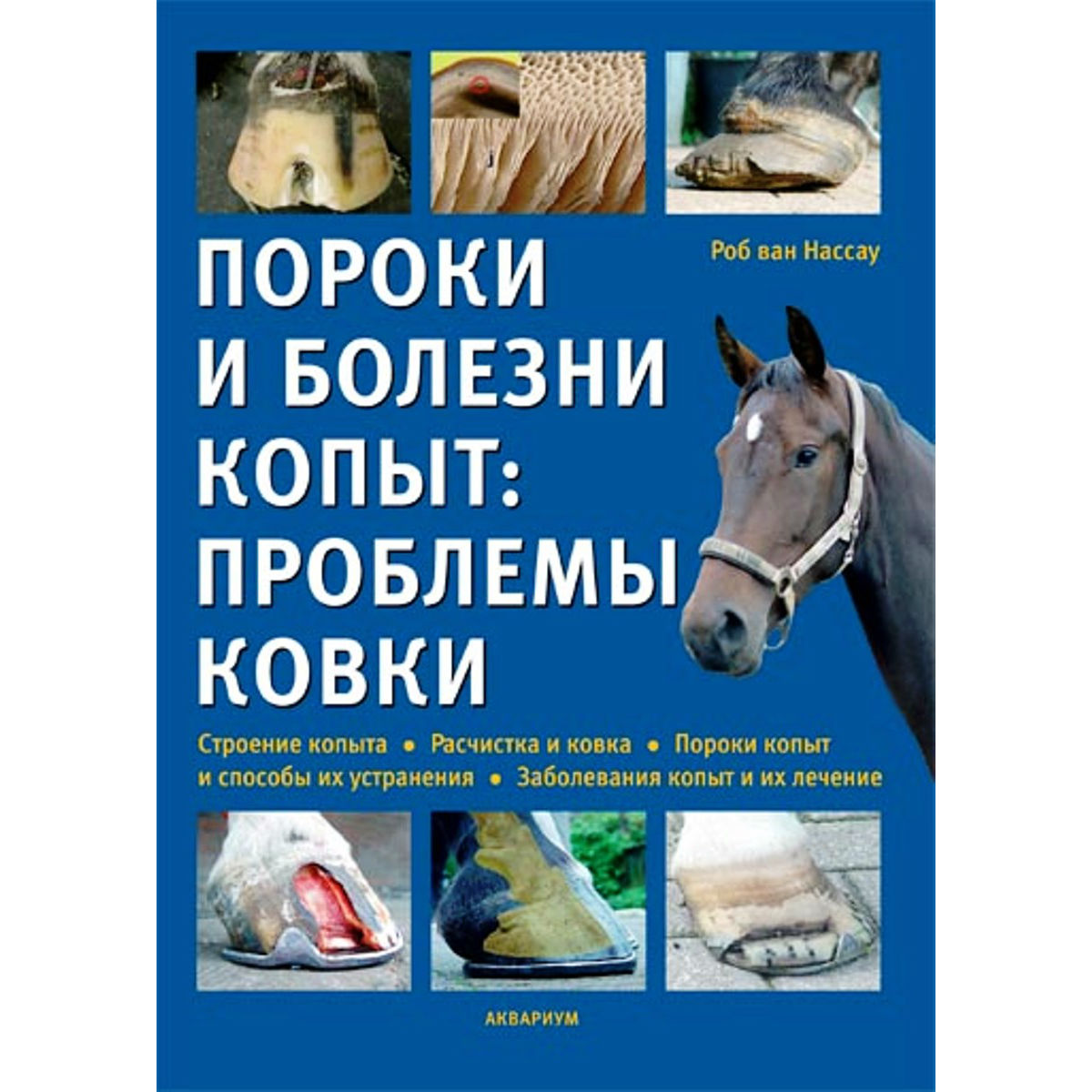 Пороки и болезни копыт: проблемы ковки, Роб ван Нассау 