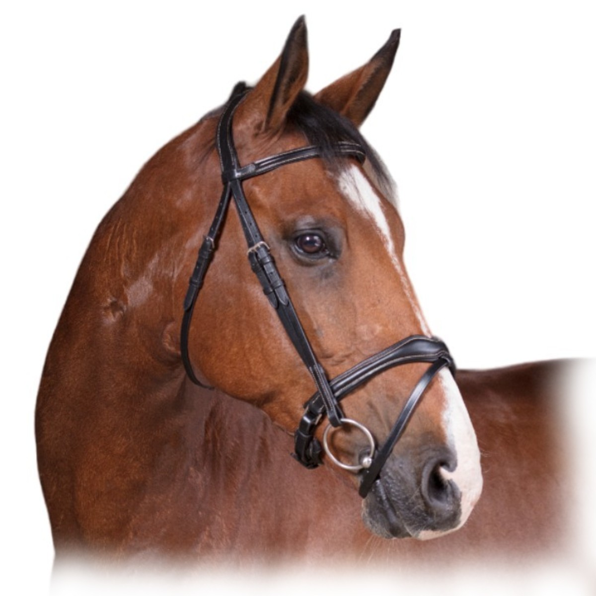 Оголовье трензельное "VAGUE" Оголовье трензельное "VAGUE"