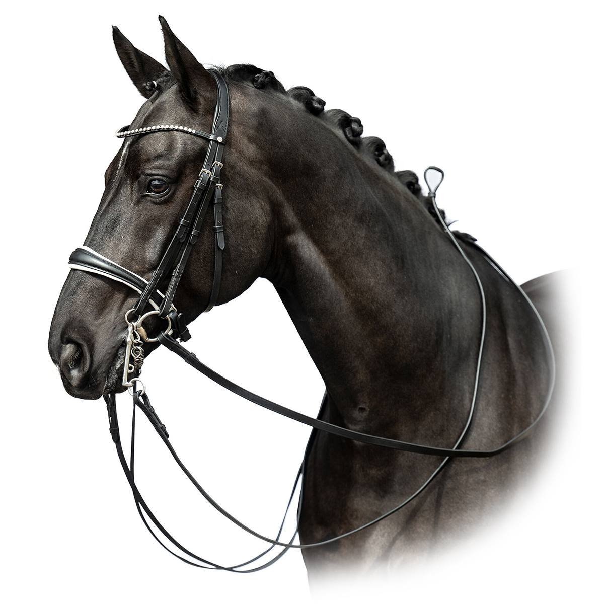 Оголовье мундштучное Dina