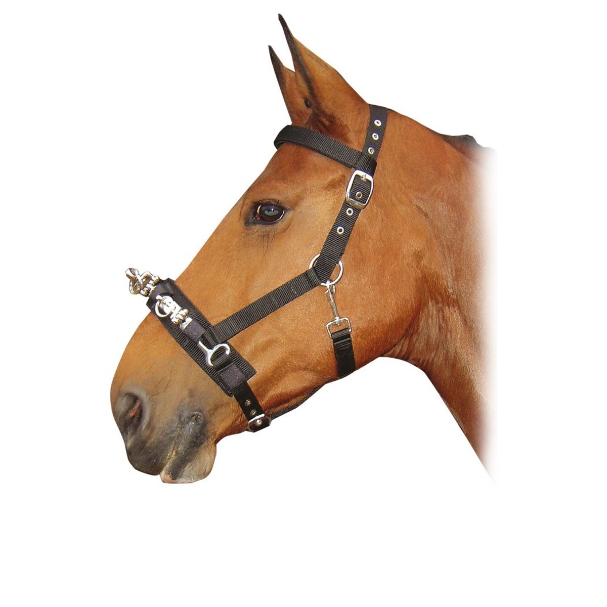 Капцунг нейлоновый Harry's Horse