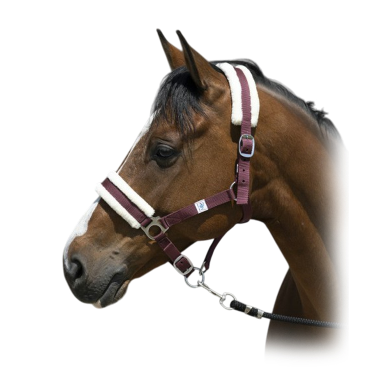 Недоуздок с мехом Недоуздок с мехом