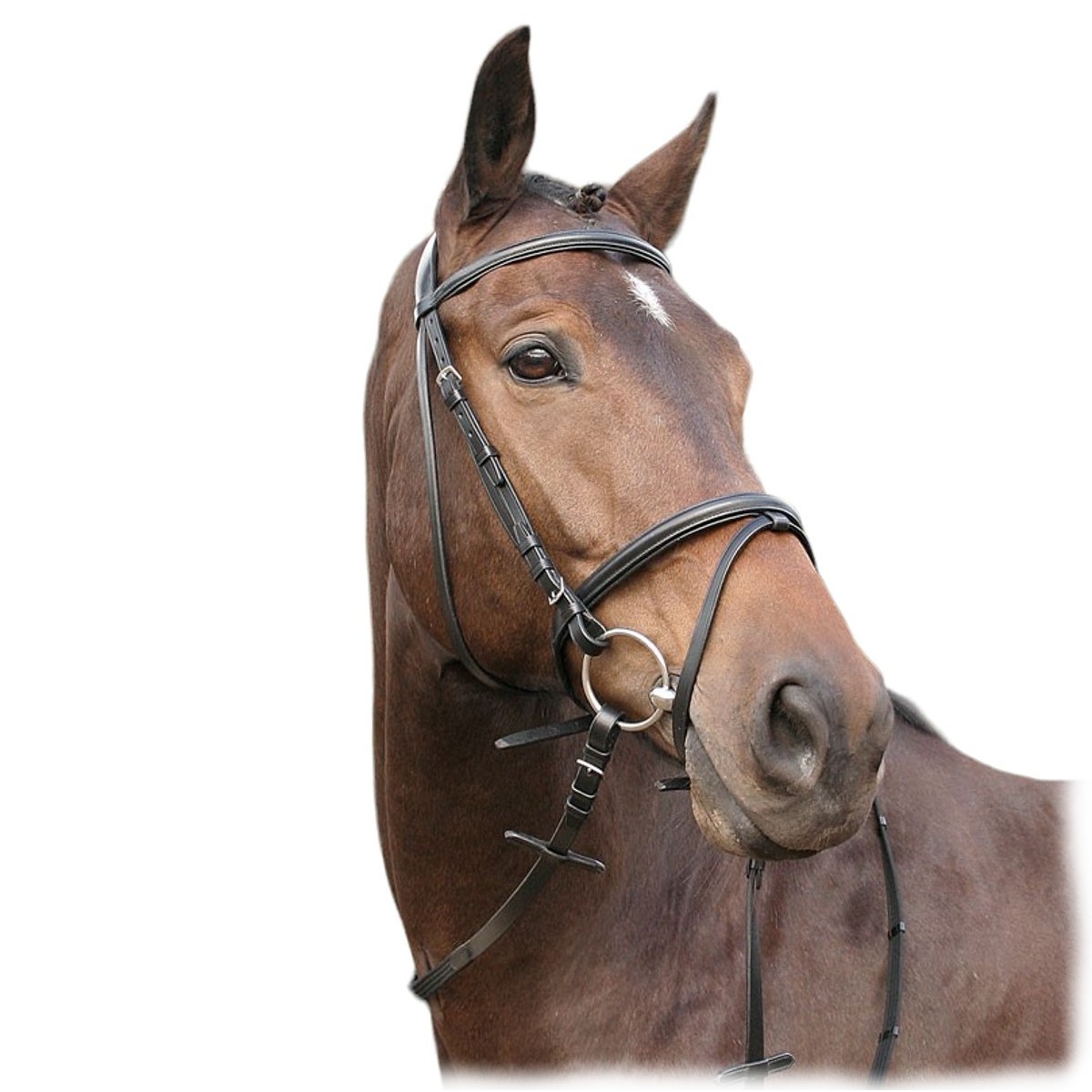 Оголовье трензельное "Bronze" Оголовье трензельное "Bronze"