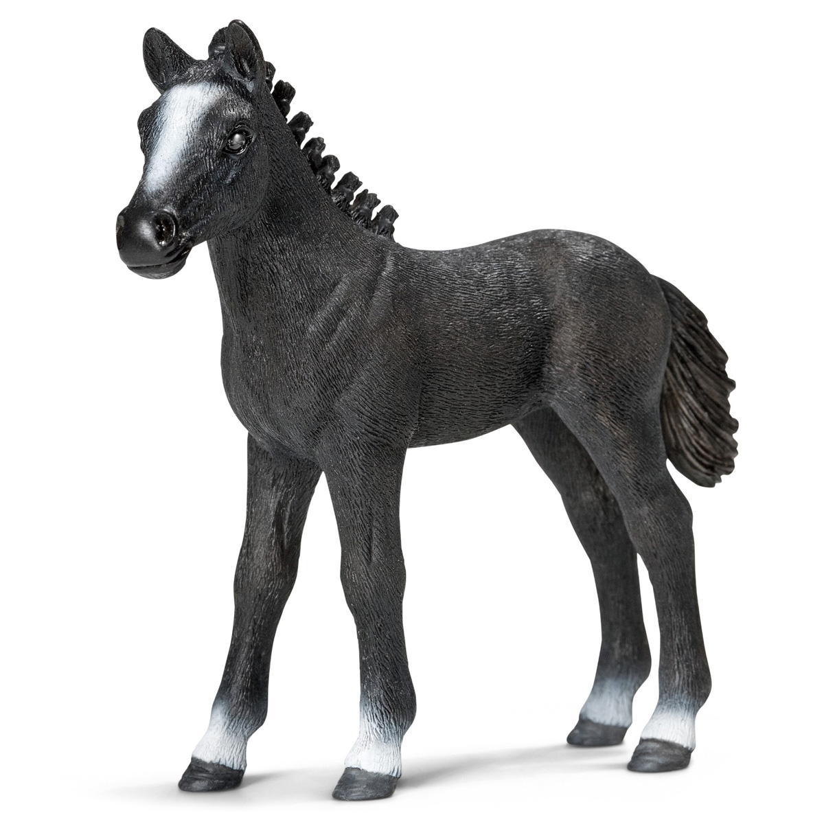 Жеребенок липпицианский