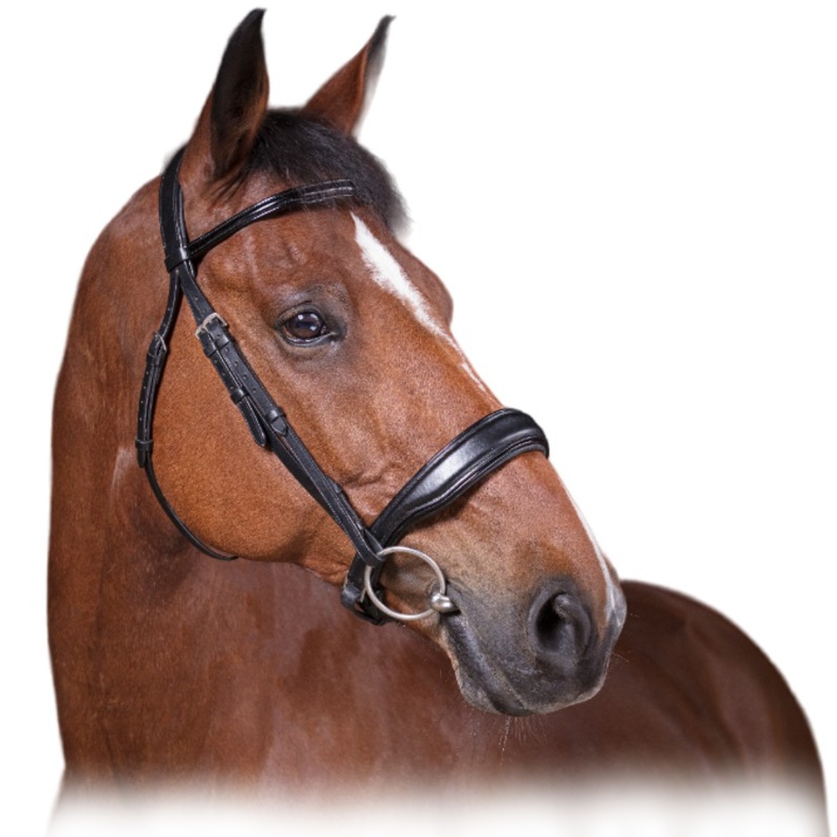 Оголовье трензельное "CONFORT" Оголовье трензельное "CONFORT"