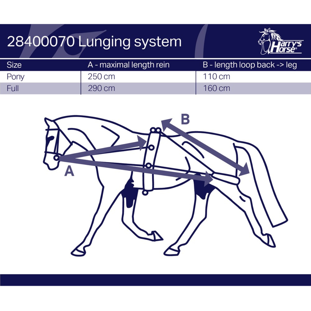Шлея Пессоа Шлея Пессоа