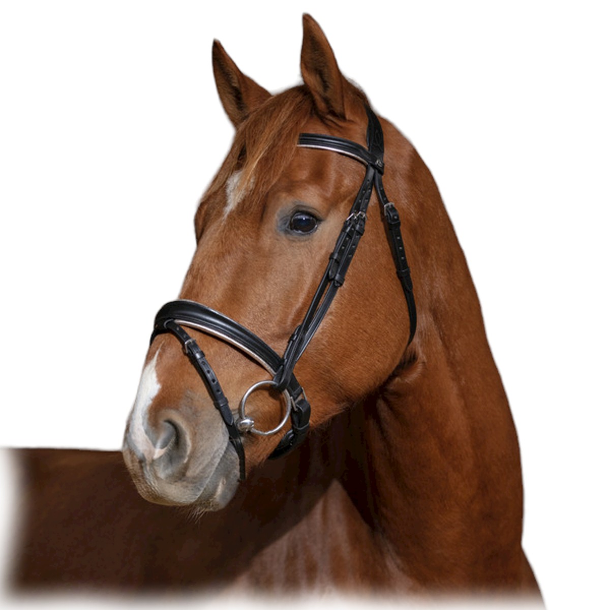 Оголовье трензельное "SATIN" Оголовье трензельное "SATIN"