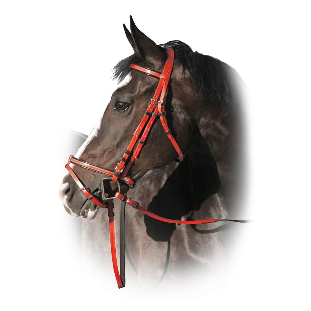 Оголовье из поливинилхлорида "Norton" Оголовье из поливинилхлорида "Norton"