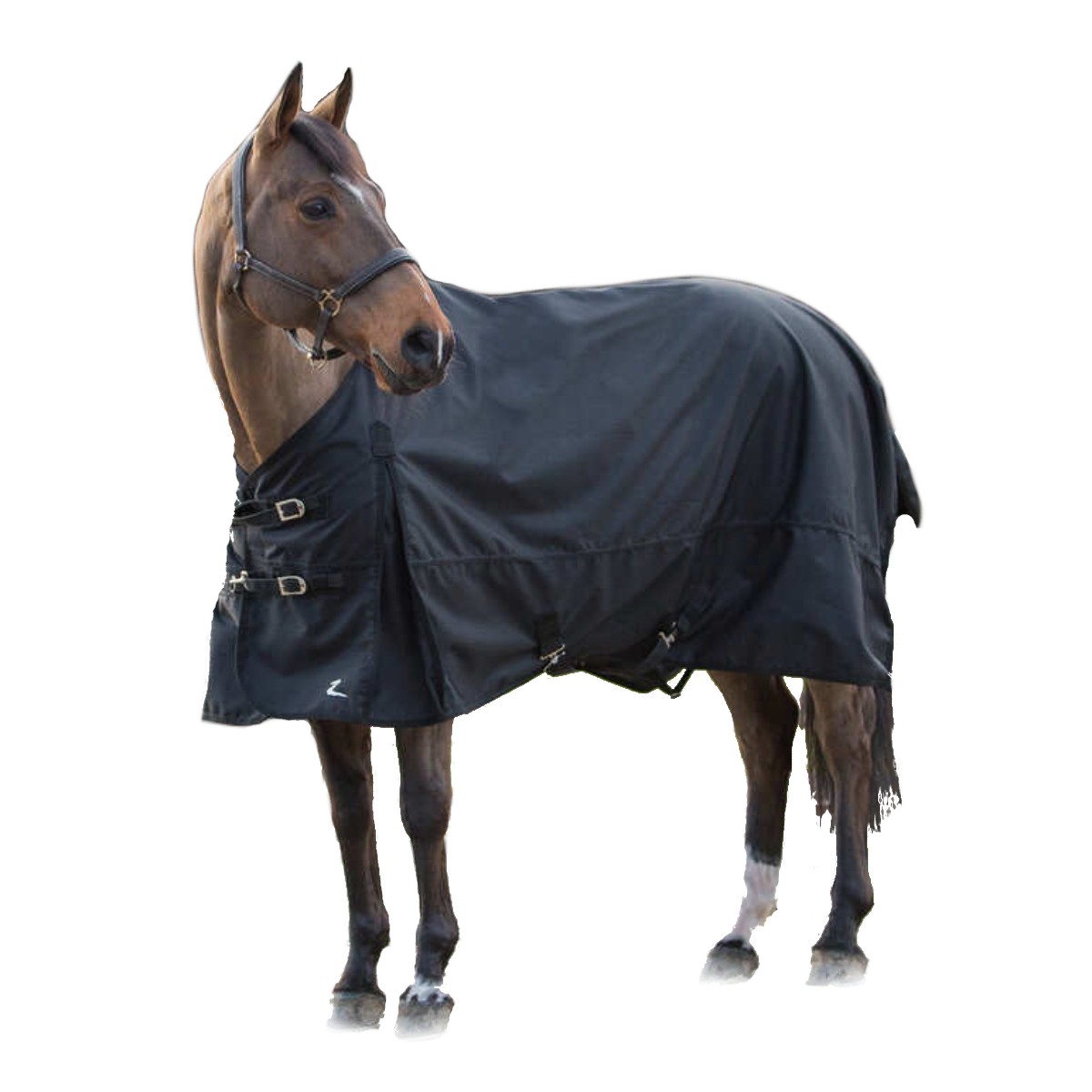 Попона противодождевая Nevada