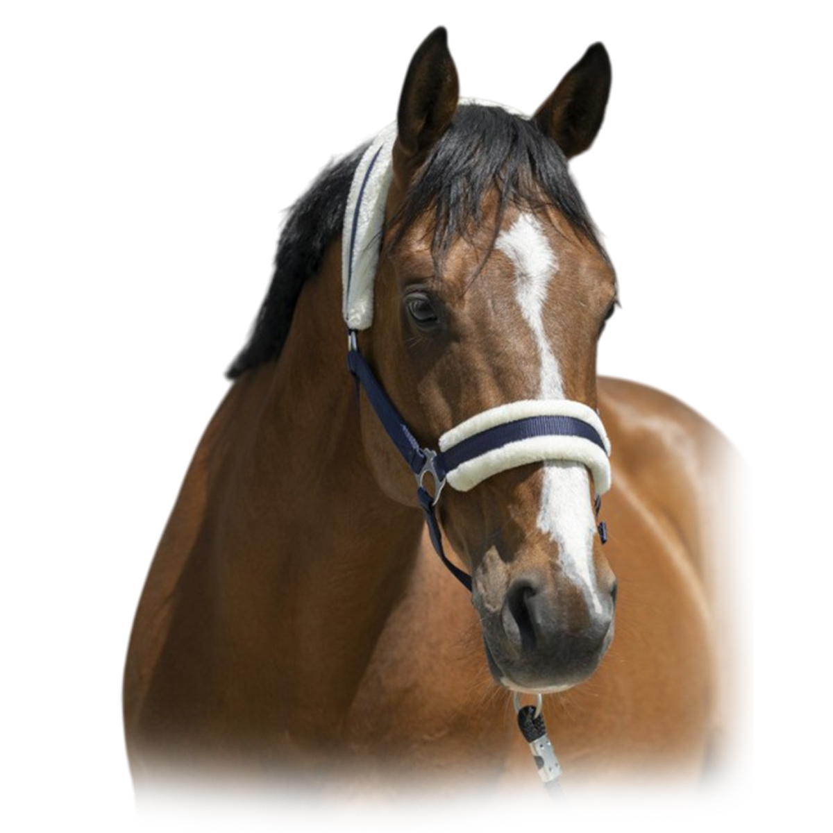 Недоуздок с мехом 