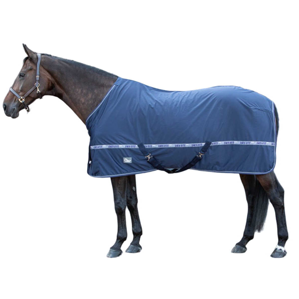 Попона для лошади противодождевая на флисе Harry's Horse "Dry-Fit" Попона для лошади противодождевая на флисе Harry's Horse "Dry-Fit"