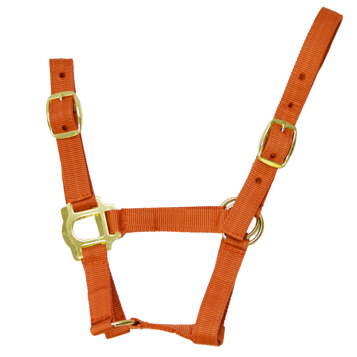 Недоуздок простой "EQUIMAN"