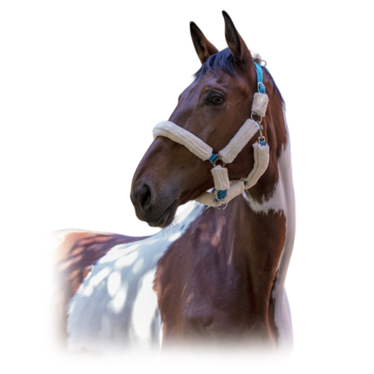 Недоуздок с мехом "Mouton synthétique" Недоуздок с мехом "Mouton synthétique"