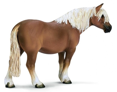 Жеребец хафлингер