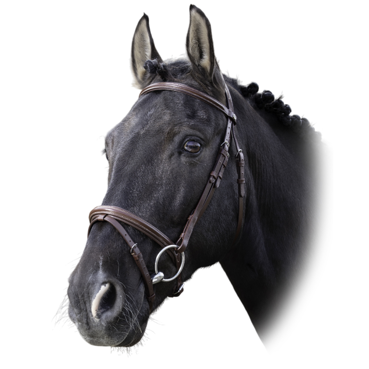 Оголовье трензельное "FIN"