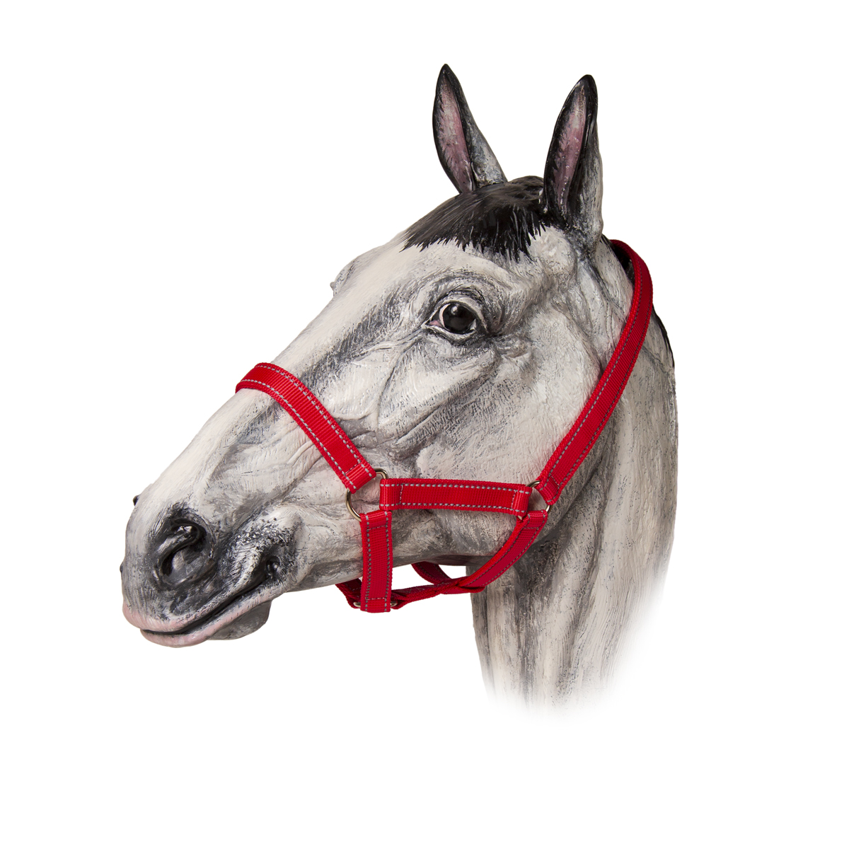 Недоуздок нейлоновый светоотражающий TAYGA Недоуздок нейлоновый светоотражающий TAYGA