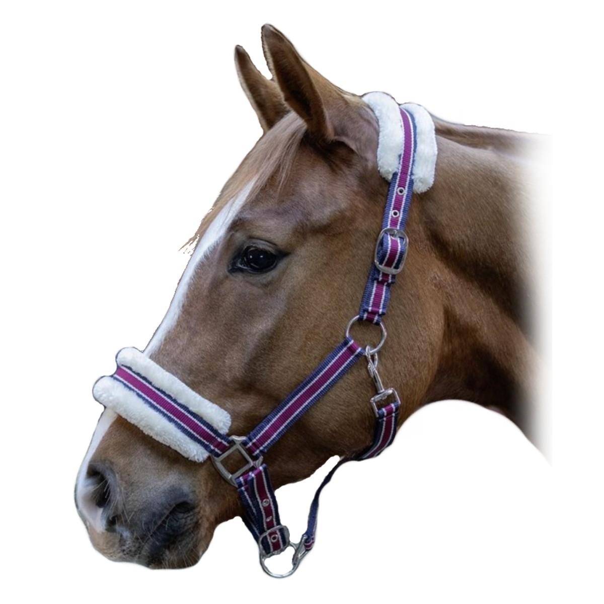 Недоуздок "HKM Extra" Недоуздок "HKM Extra"