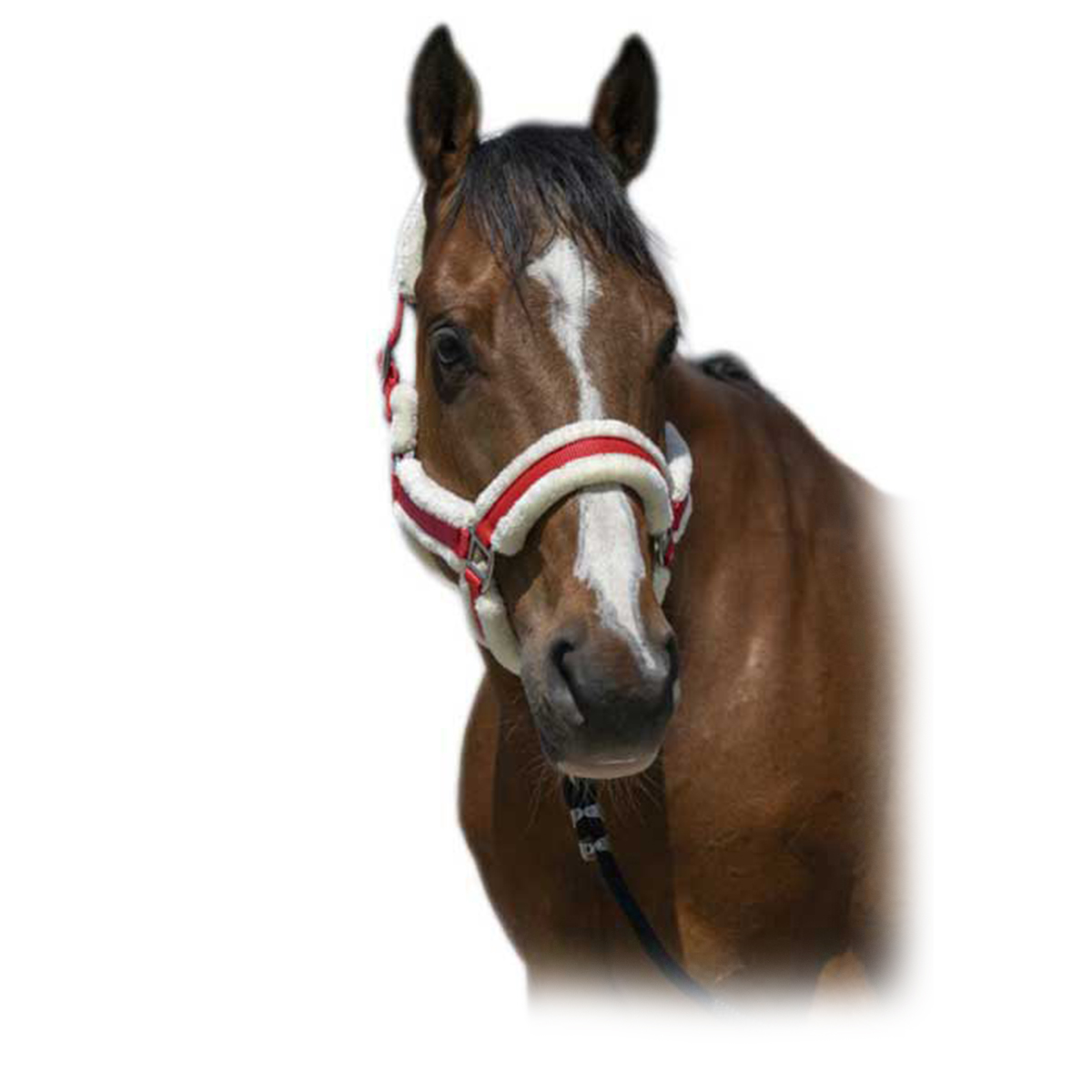 Недоуздок с мехом "COSY" Недоуздок с мехом "COSY"