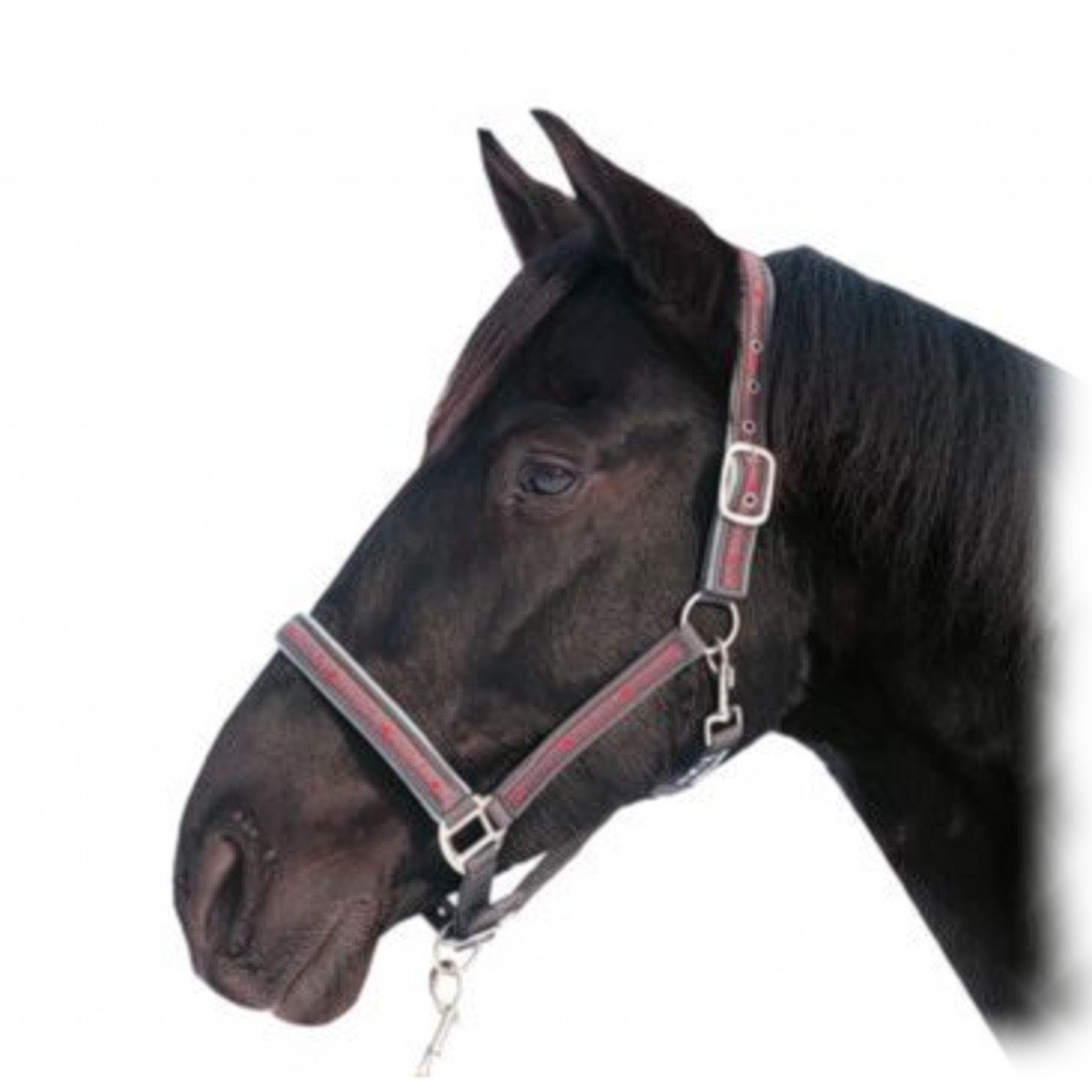 Комплект (недоуздок+чумбур) HKM Sternchen Комплект (недоуздок+чумбур) HKM Sternchen