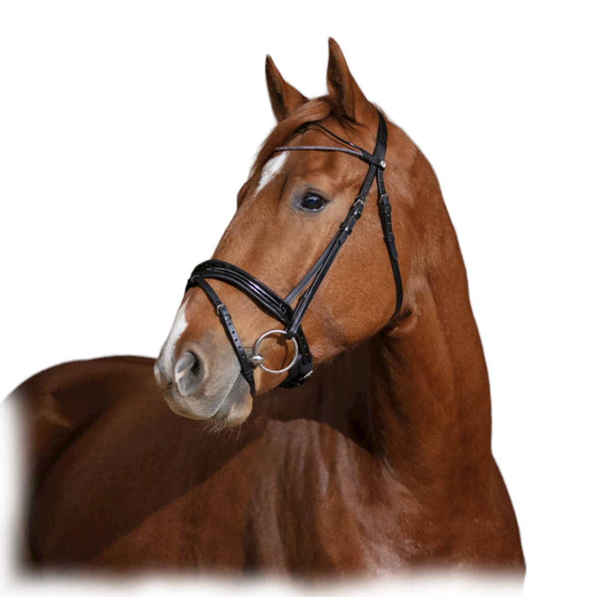 Оголовье трензельное GLAM Оголовье трензельное GLAM