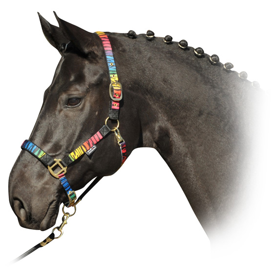 Недоуздок пестрый НКМ Недоуздок пестрый НКМ