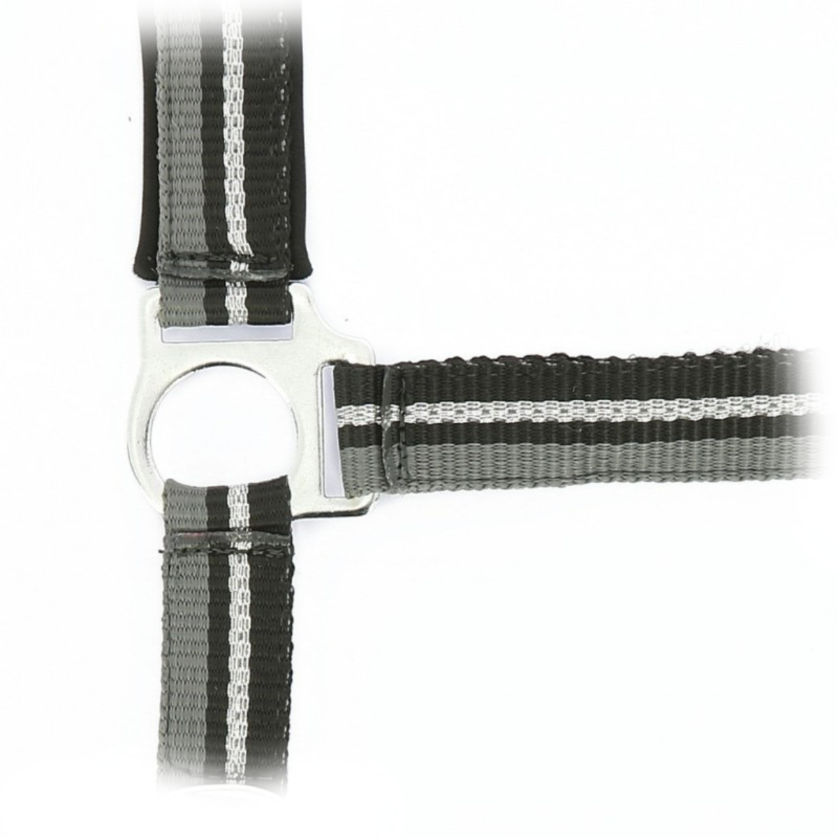 Комплект "BRILLANT” (недоуздок+чумбур) Комплект "BRILLANT” (недоуздок+чумбур)