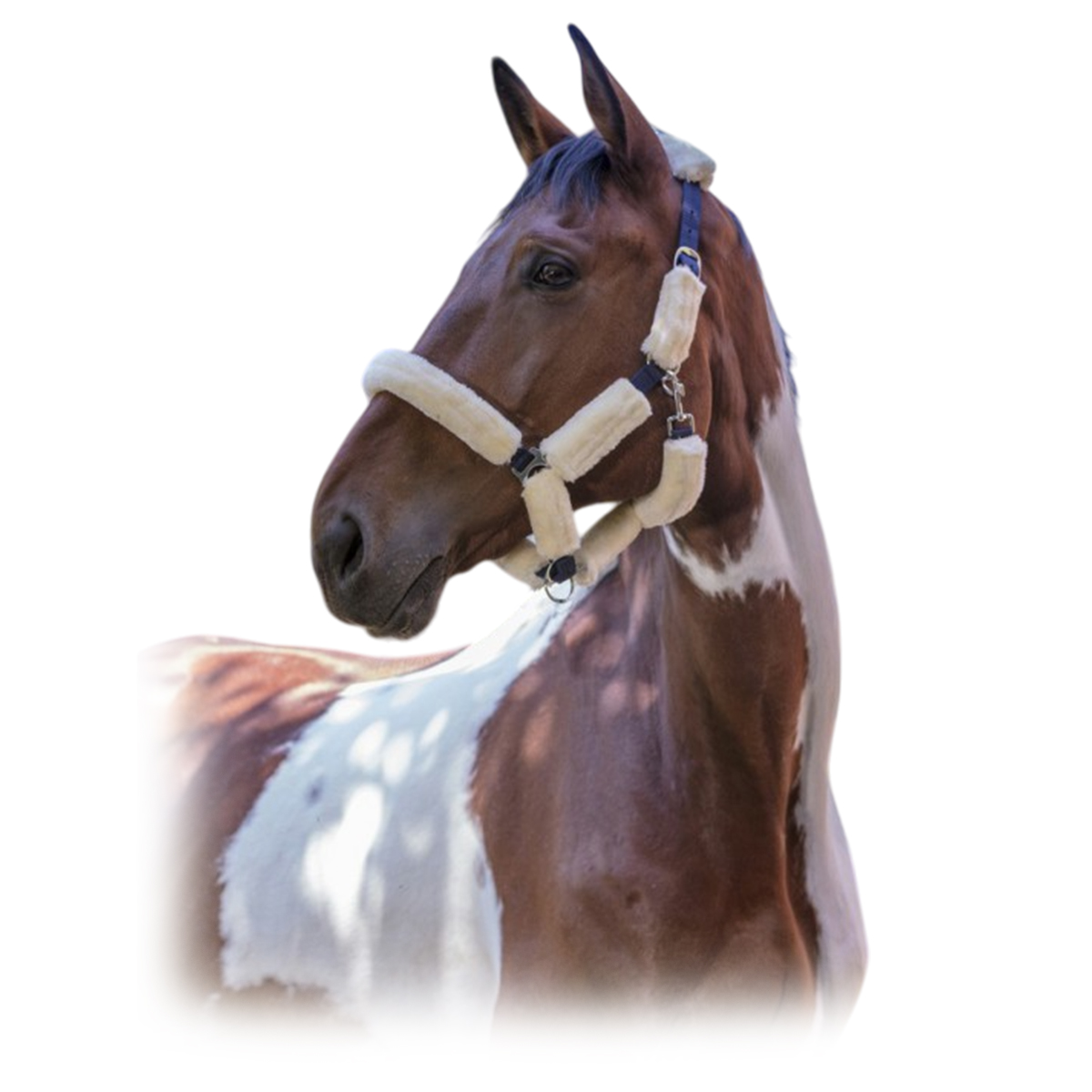 Недоуздок с мехом "Mouton synthétique" Недоуздок с мехом "Mouton synthétique"