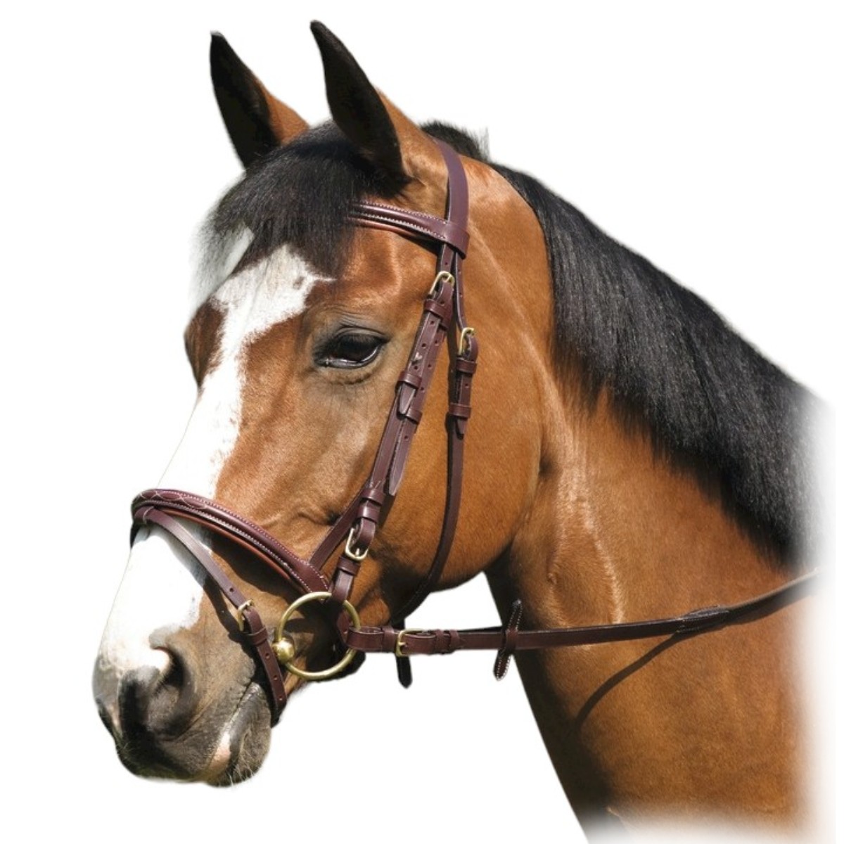 Оголовье трензельное "SURPIQUÉ"