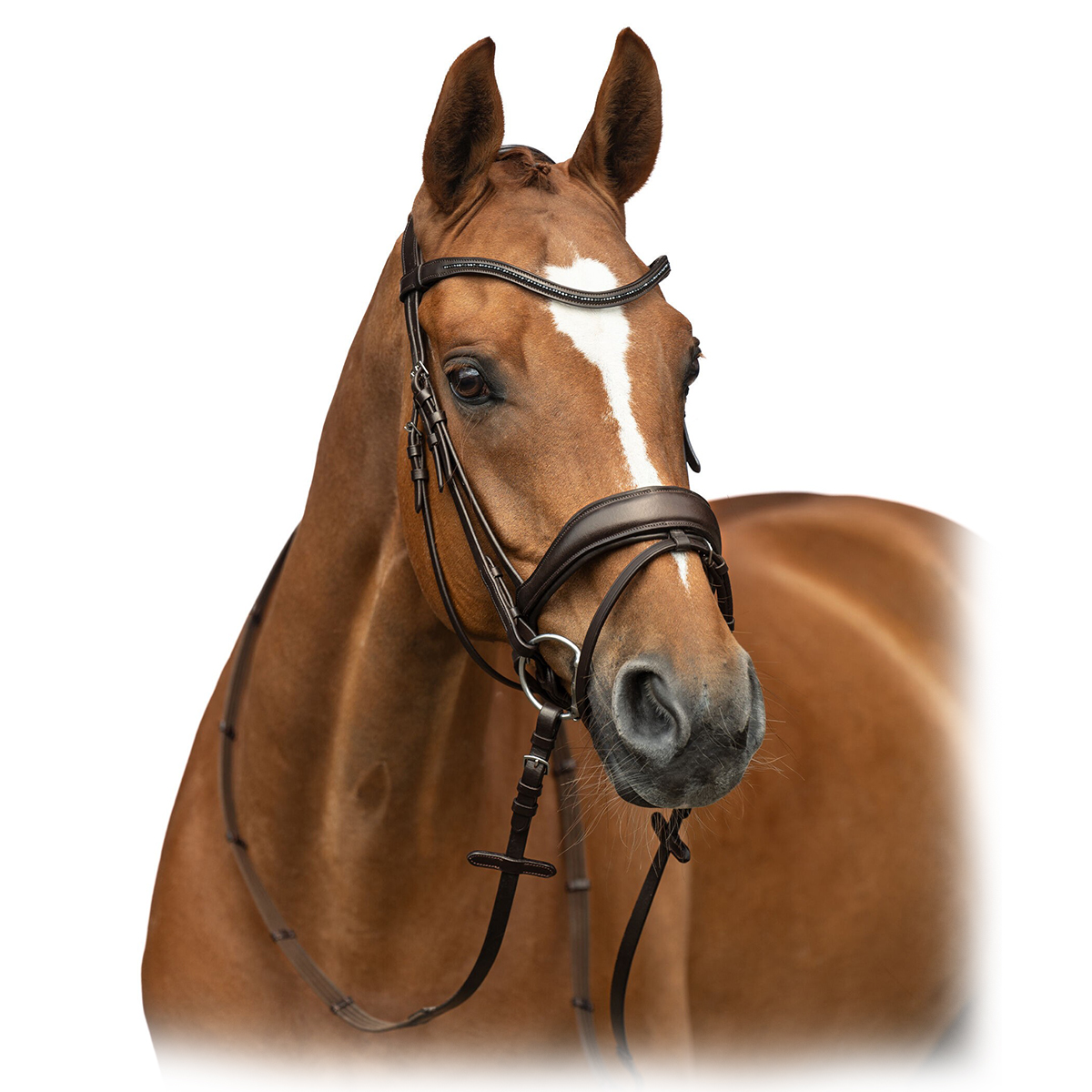 Оголовье трензельное НКМ "Ira"