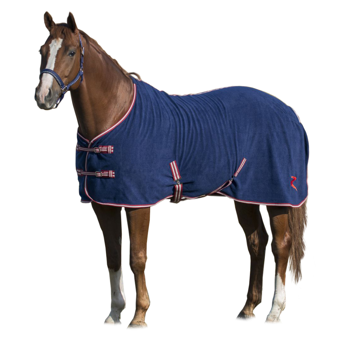 Попона флисовая с контрастным кантомдля лошади Попона флисовая с контрастным кантомдля лошади
