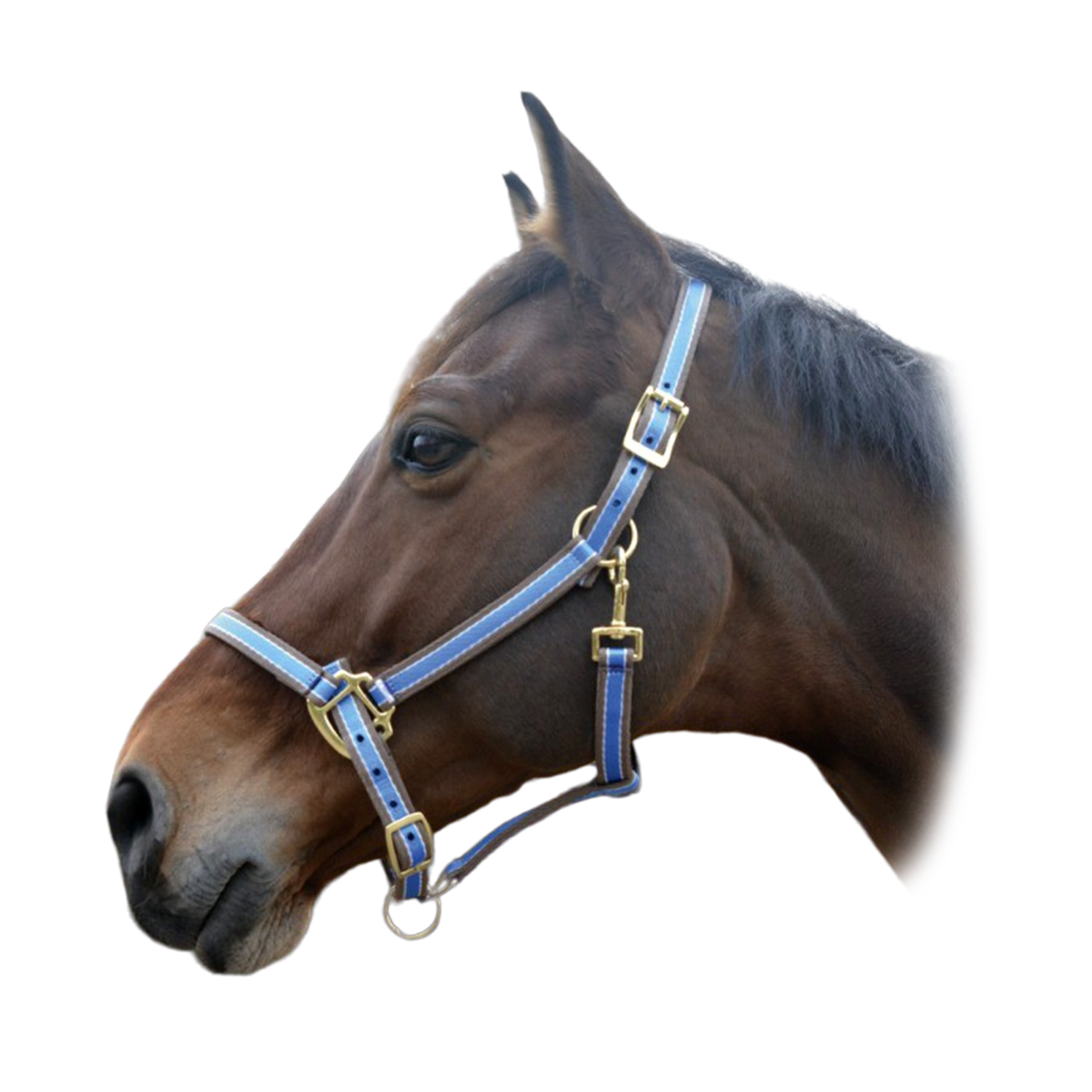 Недоуздок нейлоновый "POLYFUN" Недоуздок нейлоновый "POLYFUN"