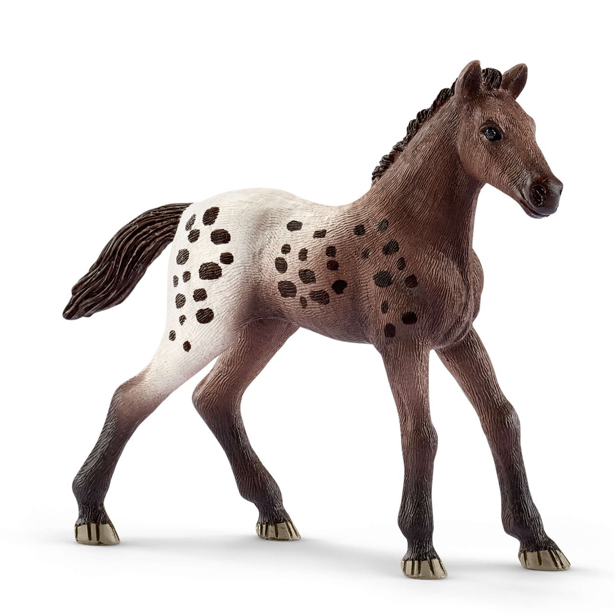 Жеребенок аппалузский верховой Жеребенок аппалузский верховой