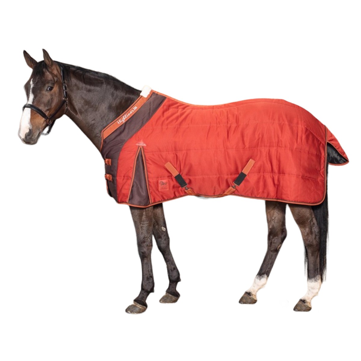 Попона зимняя для лошади