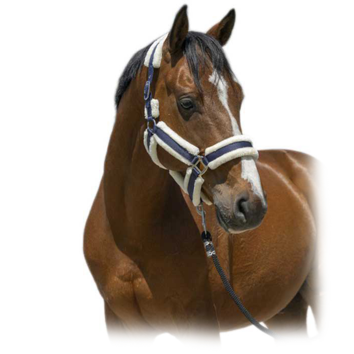 Недоуздок с мехом "COSY" Недоуздок с мехом "COSY"