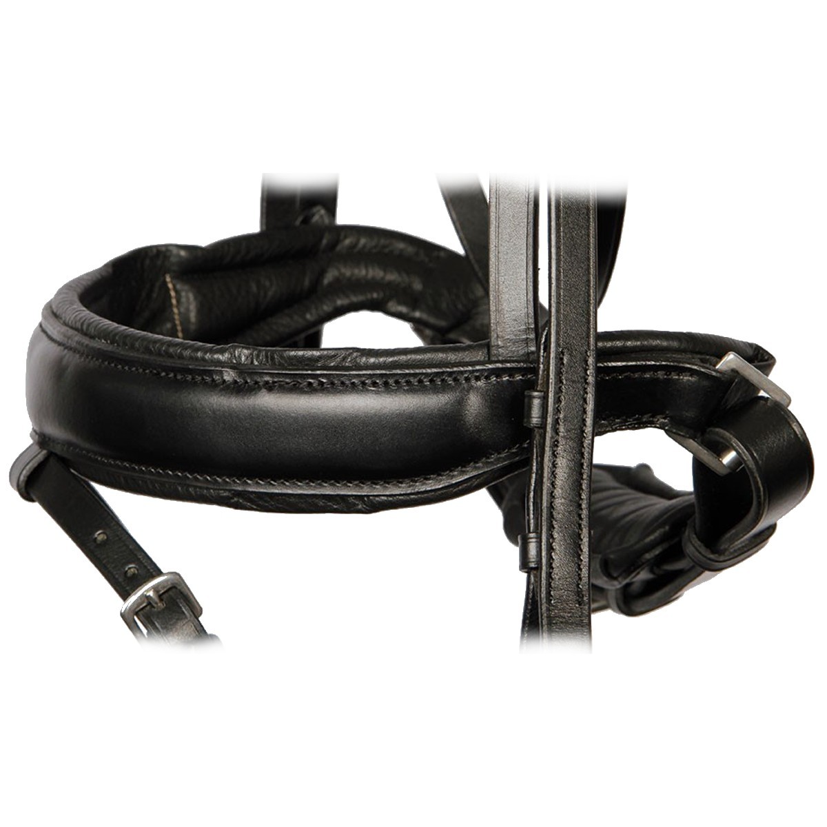 Оголовье трензельное "Foramen Free"