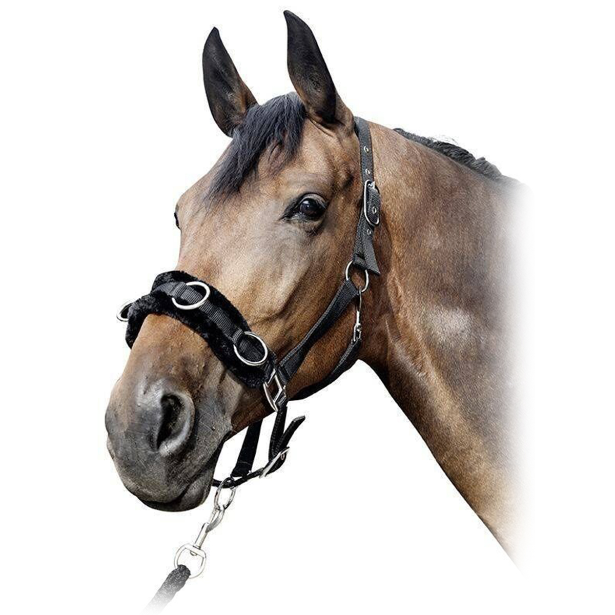 Кавессон Кавессон